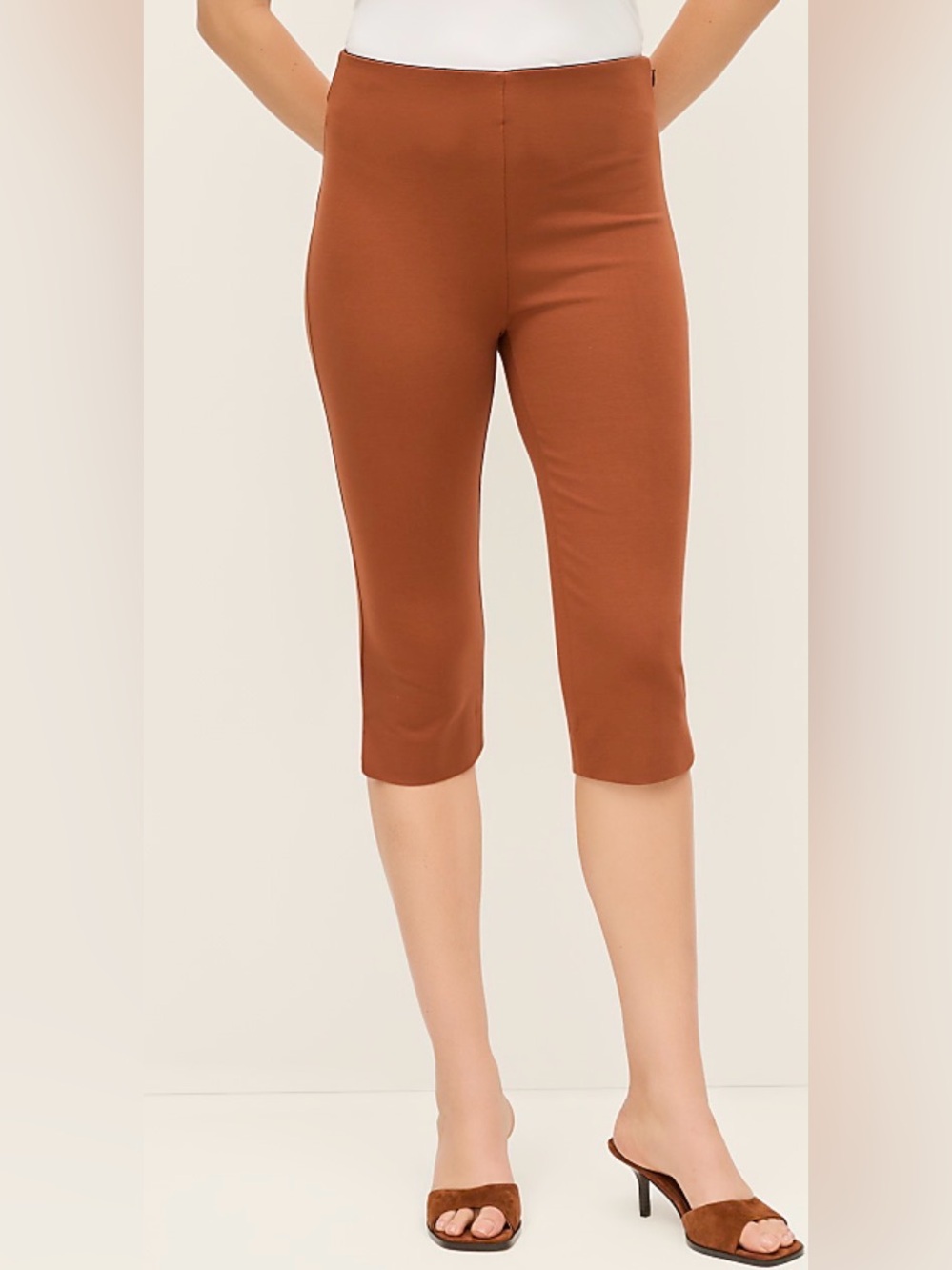 Ann Taylor Ponte Capri Pants